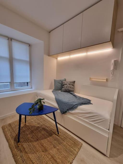 Les Appartements Hyper Centre Страсбург Екстер'єр фото