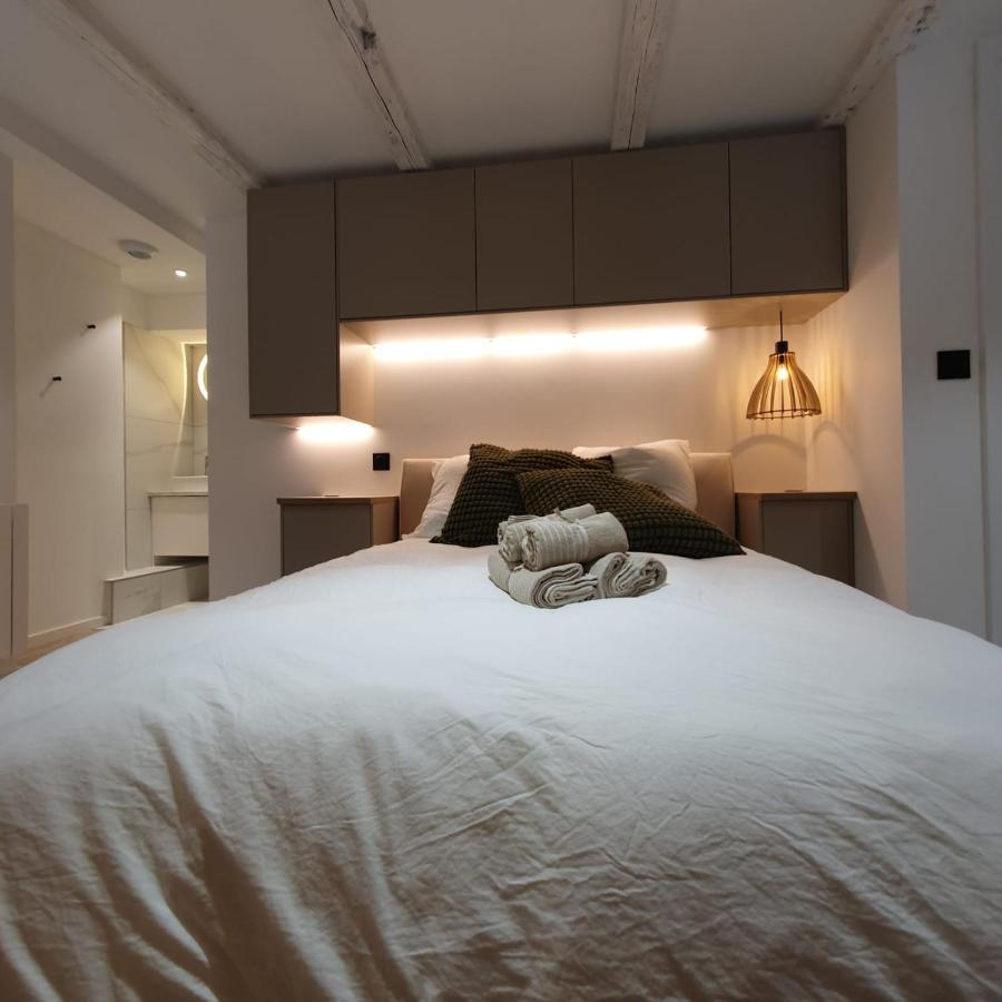 Les Appartements Hyper Centre Страсбург Екстер'єр фото
