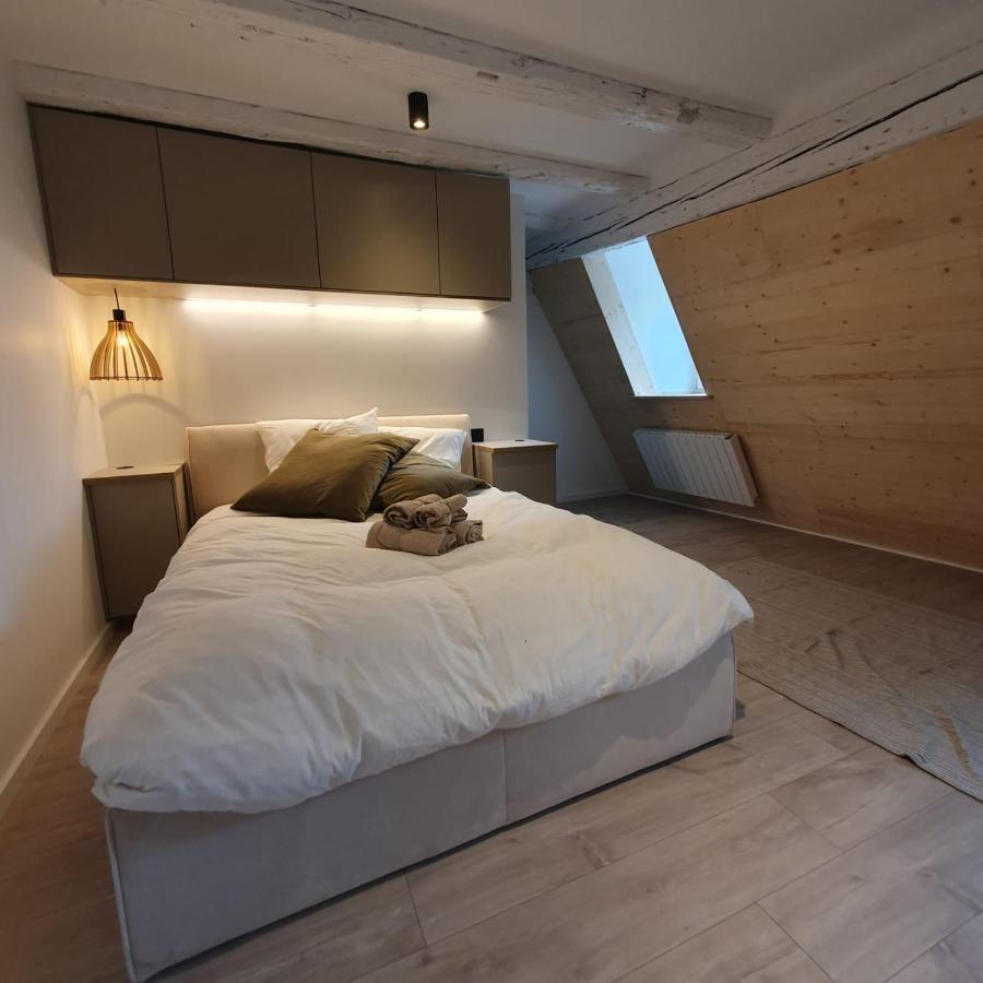 Les Appartements Hyper Centre Страсбург Екстер'єр фото