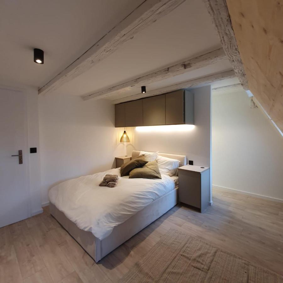 Les Appartements Hyper Centre Страсбург Екстер'єр фото